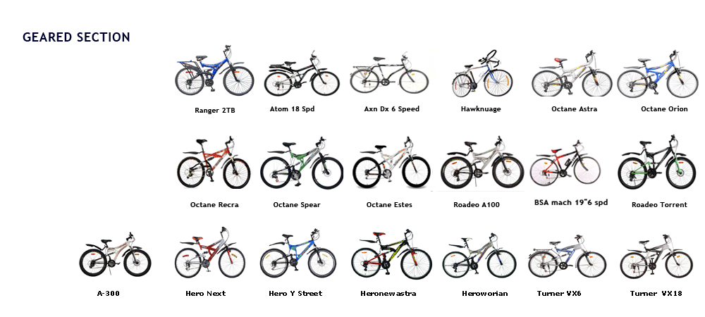 Presidency cycles
